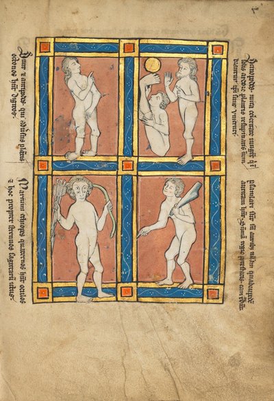 Antipode; Scinopode; Coastal Ethiopian; Psalmlarus by Unbekannt Unbekannt